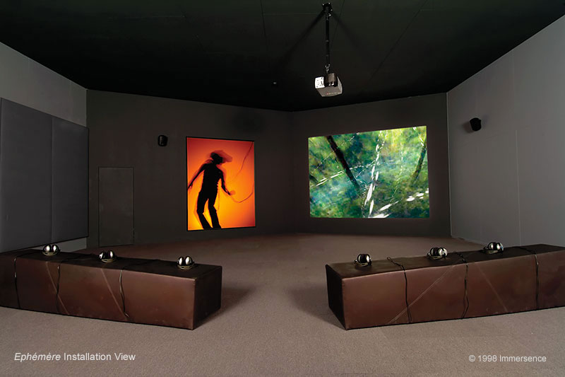 Installation view from 2003 of Osmose at the Australian Centre of the Moving Image, Melbourne, showing the audience's dual view of the shadow of the