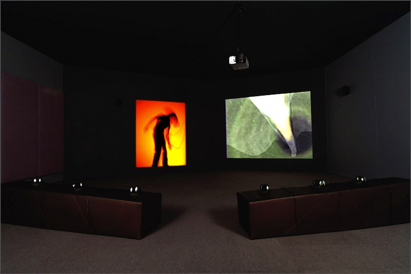 Char Davies. Installation view of live performance of 'Ephémère' (1998) with immersant seen through shadow silhouette screen at the Australian Centre for the Moving Image in 2003.