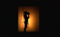 Seeds, Shadowscreen Char Davies, Shadowscreen, from Ephémère, 1998