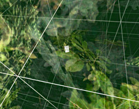 Forest Grid, <em>Osmose</em>, 1995