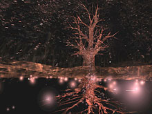 Osmose, Tree