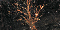 Osmose - Tree - Click for enlargement