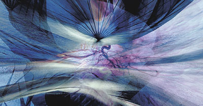Char Davies, Leaf, 1990 Char Davies, Leaf, 1990