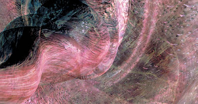 Char Davies, Root, 1991 Char Davies, Root, 1991