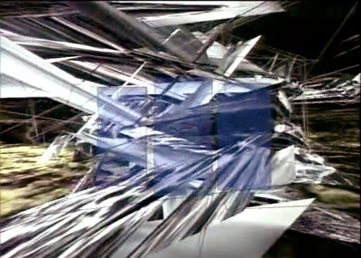 Christa Sommerer/Laurent Mignonneau, A-Volve, 1994/95 Ulrike Gabriel, Perceptual Arena, 1993 - Still image from video caption