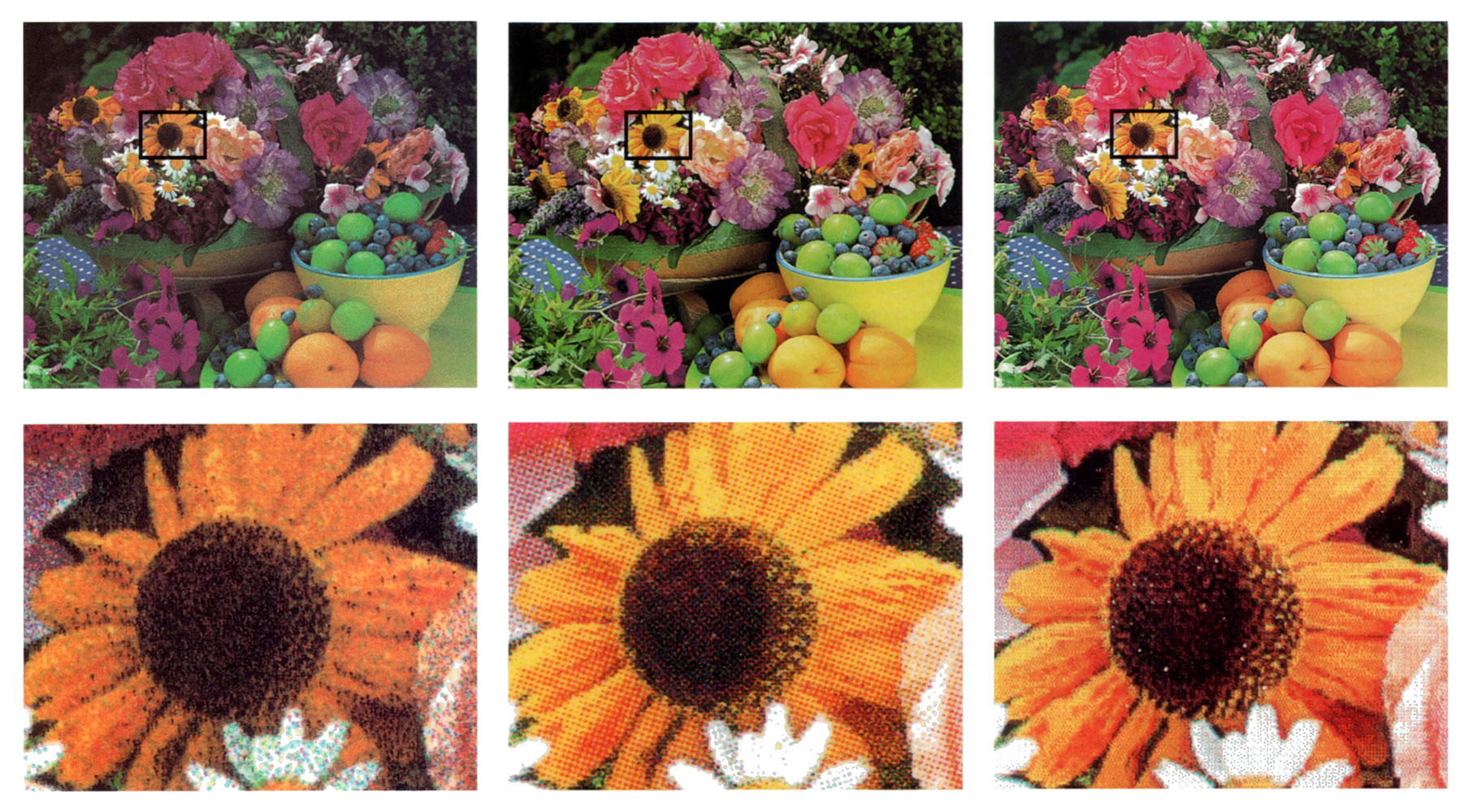 (left) Inkjet - (center) laser - (right) iris reproduction of an image.