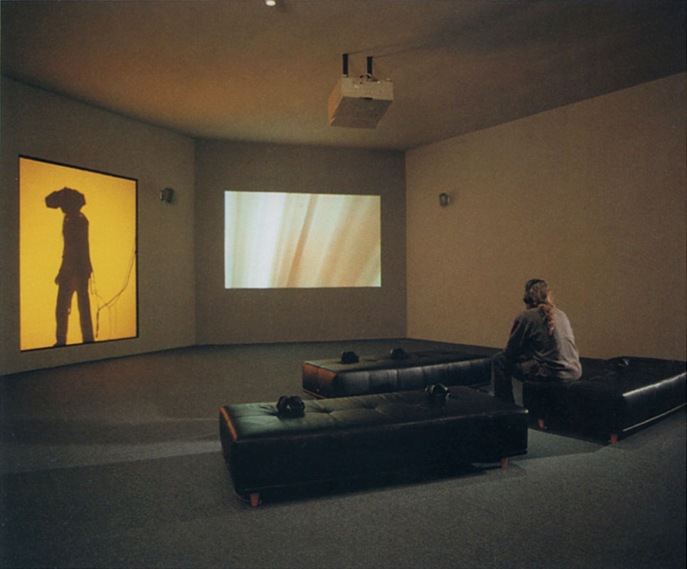 Char Davies (Canada), Ephémère, 1998 - Installation View
