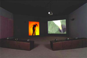 Exhibit room showing immersant shadow screen and the public viewing screen. Exhibit room showing immersant shadow screen and the public viewing screen.