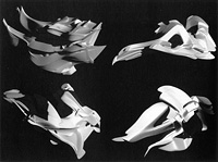 Marcos Novak, transarchitectural shape (2001)